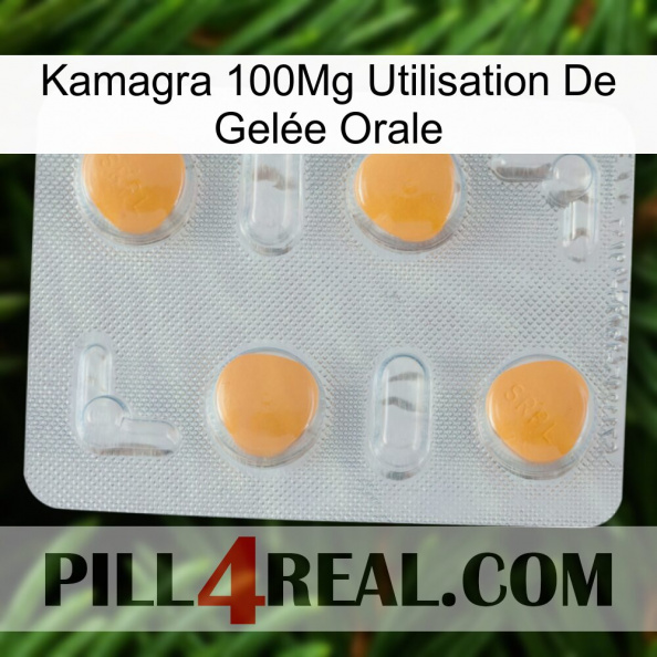 Kamagra 100Mg Utilisation De Gelée Orale 24